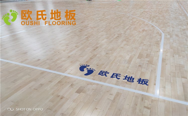 西寧市世紀(jì)職業(yè)技術(shù)學(xué)校籃球訓(xùn)練館木地板圖片