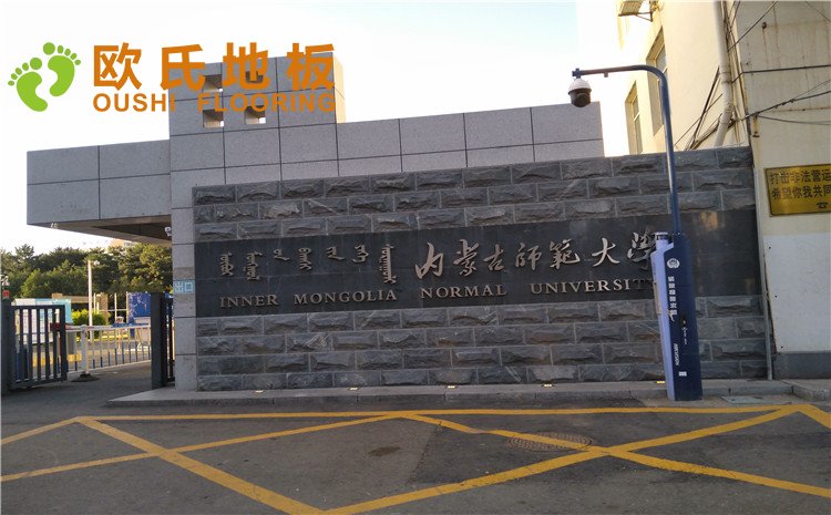 內(nèi)蒙古師范大學體育學院訓練館運動木地板項目